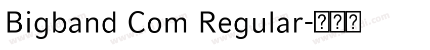 Bigband Com Regular字体转换